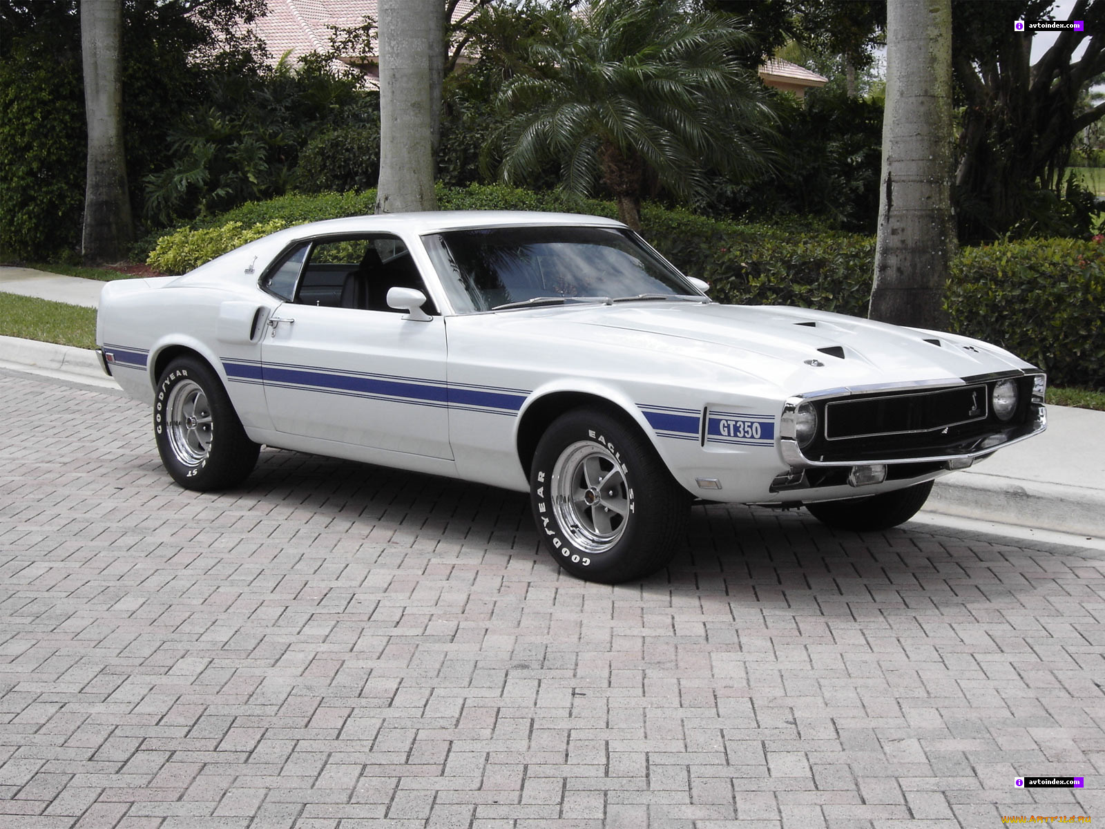 , ford
